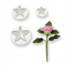 Fiore stellato cutter - 3 pz