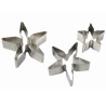 Stella di Natale Poinsettia set 3 pz - inox