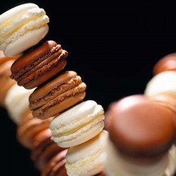 Tappetino per macaron cm 29x39 - 48 cavità