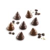 Stampo cioccolato 15 choco tree EasyChoc Silikomart