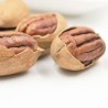 Noci Pecan