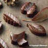 Stampo cioccolato 8 Nature Foglie EasyChoc Silikomart