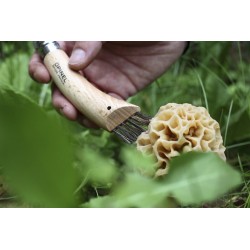 Roncola con spazzolino per funghi - Opinel