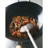 Wok rapido sano & versatile Bibliotheca Culinaria