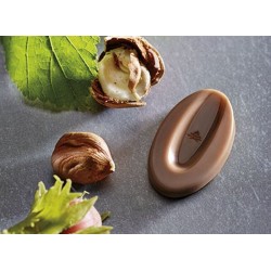 Azelia cioccolato al latte 35% Valrhona