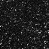 Glitter edibili nero black rainbow dust - g 5