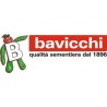 Bavicchi